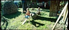 06_juuni_04