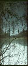 11_november_02