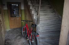 43trepp